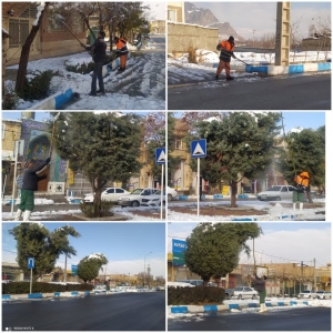 عملیات برف تکانی درختان