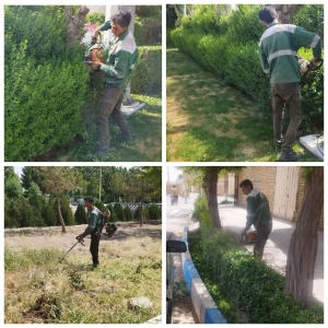 فضای سبز در راستای زیباسازی