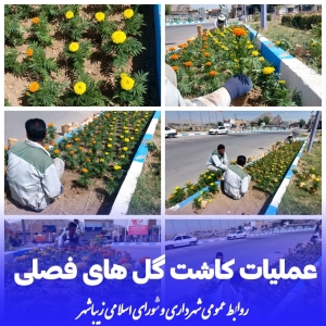 فعالیت های شهرداری