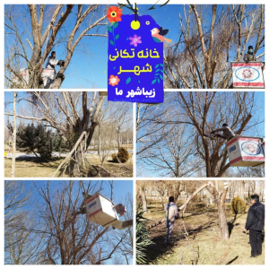 هرس و فرم دهی درختان پارک ها و بوستان های سطح شهر