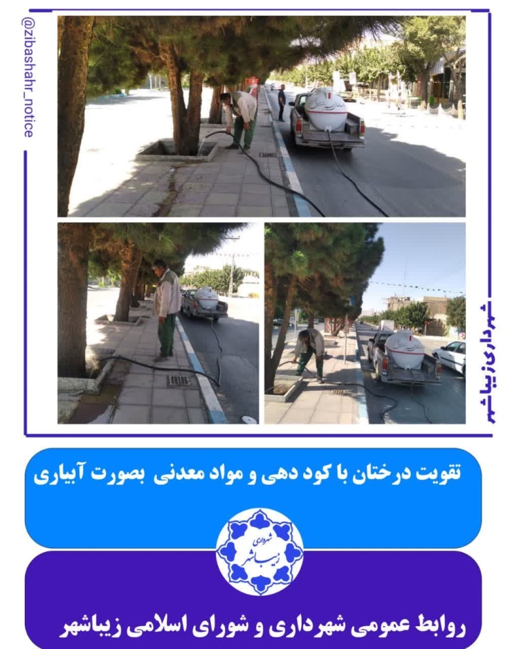 فعالیت های شهرداری