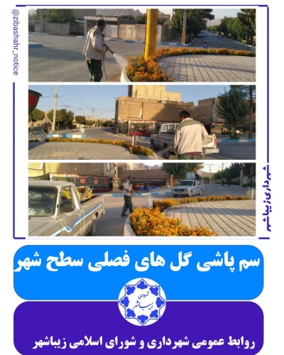 فعالیت های شهرداری