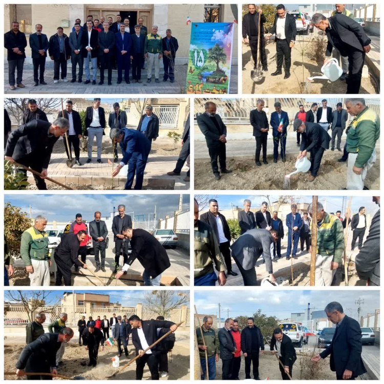 آئین روز درخت و درختکاری و هفته منابع طبیعی در زیباشهر با حضور مدیریت شهری زیباشهر،  بخشدار گرکن جنوبی و خانواده معظم شهدا